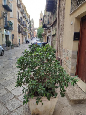 BONELLUS Palermo